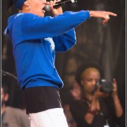 BRNS &#8211; Festival des Vieilles Charrues 2013