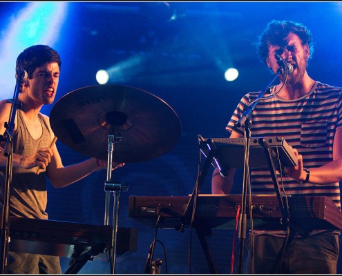 BRNS &#8211; Festival des Vieilles Charrues 2013