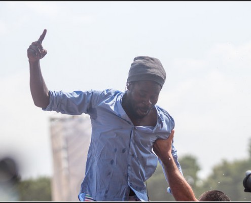 Fefe &#8211; Festival des Vieilles Charrues 2013