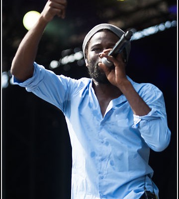 Fefe &#8211; Festival des Vieilles Charrues 2013