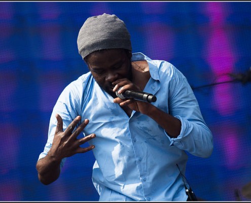 Fefe &#8211; Festival des Vieilles Charrues 2013