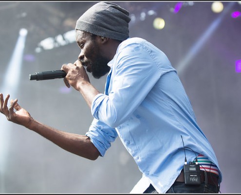 Fefe &#8211; Festival des Vieilles Charrues 2013