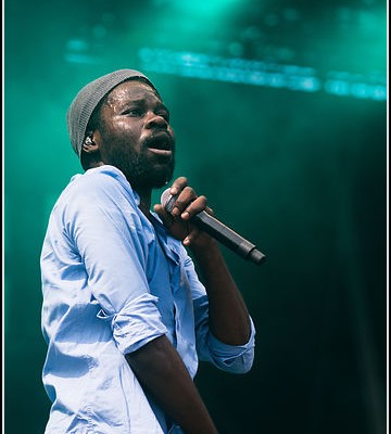 Fefe &#8211; Festival des Vieilles Charrues 2013