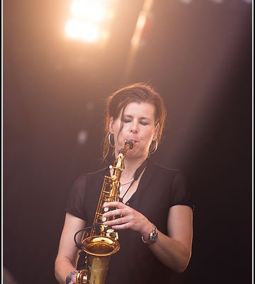 Gentleman &#8211; Festival des Vieilles Charrues 2013