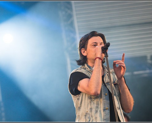 Benjamin Biolay &#8211; Festival des Vieilles Charrues 2013