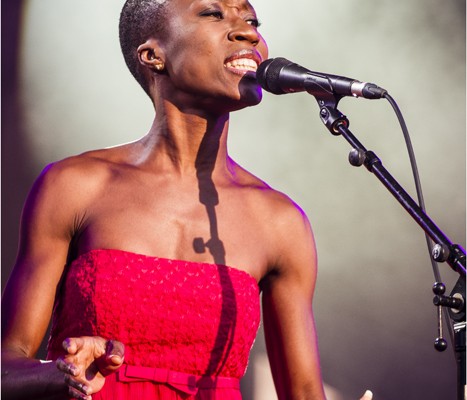 Rokia Traore &#8211; Festival FnacLive 2013 (Paris)