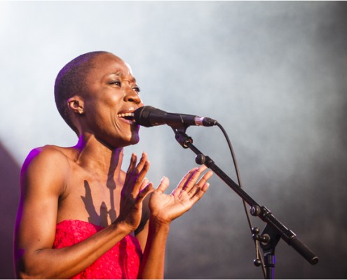 Rokia Traore &#8211; Festival FnacLive 2013 (Paris)