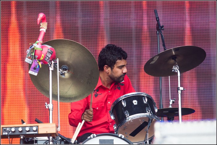 Charles Bradley &#8211; Festival des Vieilles Charrues 2013