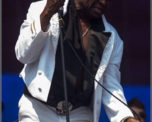 Charles Bradley &#8211; Festival des Vieilles Charrues 2013