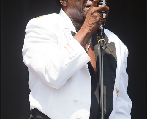 Charles Bradley &#8211; Festival des Vieilles Charrues 2013