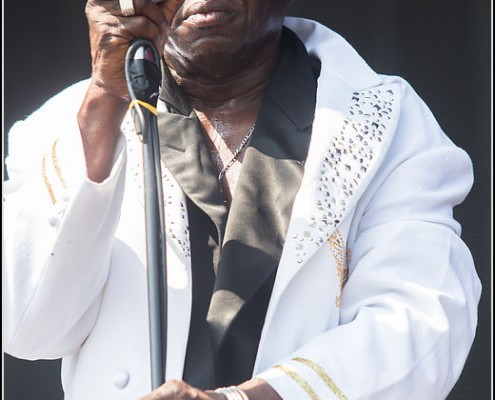 Charles Bradley &#8211; Festival des Vieilles Charrues 2013