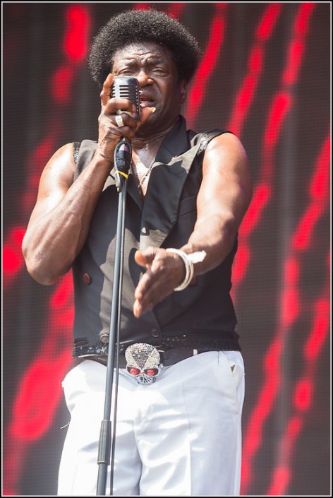 Charles Bradley &#8211; Festival des Vieilles Charrues 2013