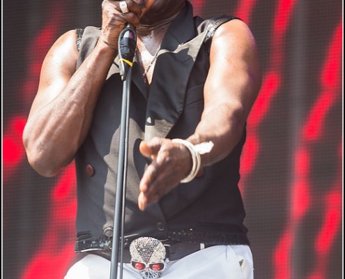 Charles Bradley &#8211; Festival des Vieilles Charrues 2013