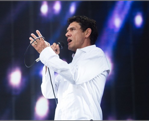 Marc Lavoine &#8211; Festival des Vieilles Charrues 2013