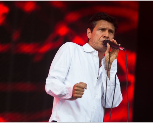 Marc Lavoine &#8211; Festival des Vieilles Charrues 2013