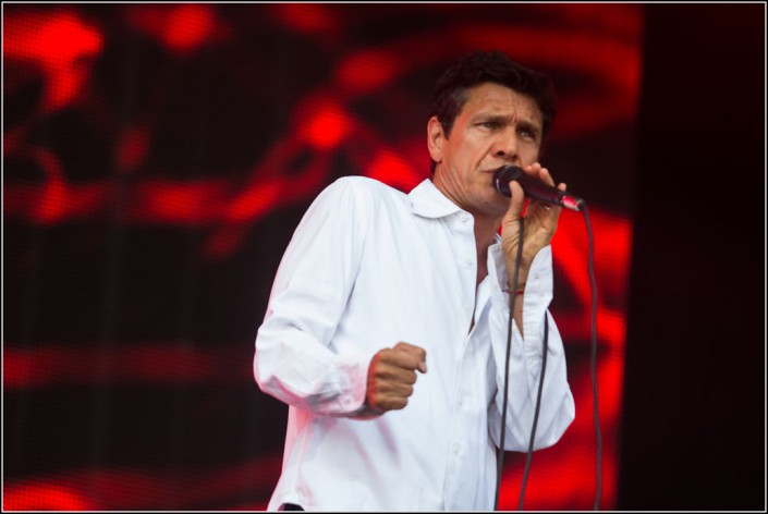 Marc Lavoine &#8211; Festival des Vieilles Charrues 2013