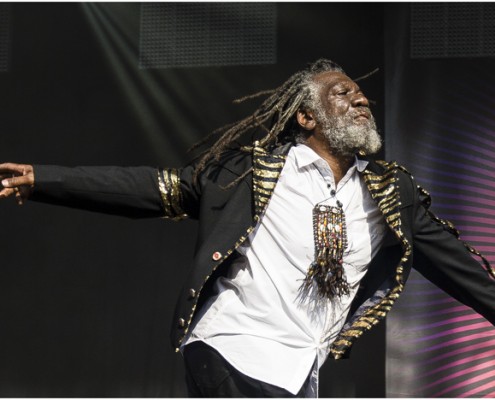 Winston McAnuff And Fixi &#8211; Festival FnacLive 2013 (Paris)