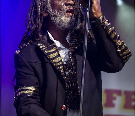 Winston McAnuff And Fixi &#8211; Festival FnacLive 2013 (Paris)