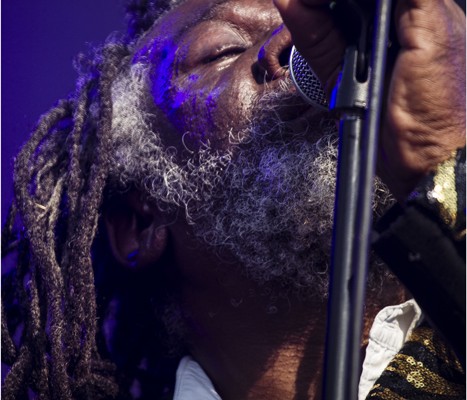 Winston McAnuff And Fixi &#8211; Festival FnacLive 2013 (Paris)