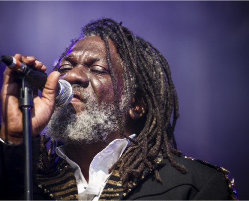 Winston McAnuff And Fixi &#8211; Festival FnacLive 2013 (Paris)