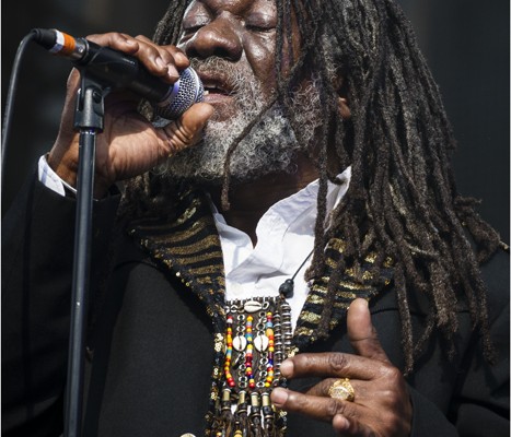 Winston McAnuff And Fixi &#8211; Festival FnacLive 2013 (Paris)