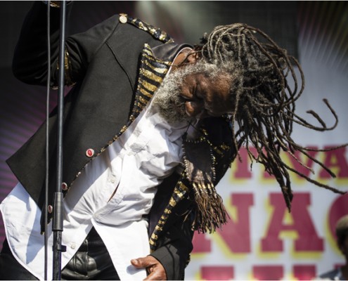 Winston McAnuff And Fixi &#8211; Festival FnacLive 2013 (Paris)