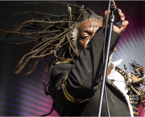 Winston McAnuff And Fixi &#8211; Festival FnacLive 2013 (Paris)