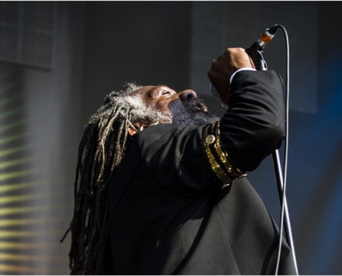 Winston McAnuff And Fixi &#8211; Festival FnacLive 2013 (Paris)