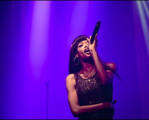 Dominique Young Unique &#8211; Festival Les Femmes s&#8217;en Melent 2014 (Paris)