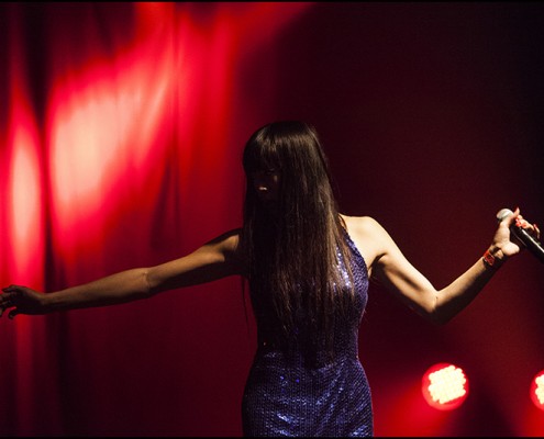 Linkoban &#8211; Festival Les Femmes s&#8217;en Melent 2014 (Paris)