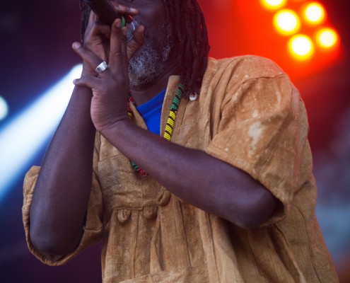 Tiken Jah Fakoly &#8211; Festival Art Rock 2014