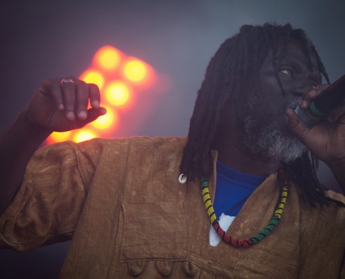 Tiken Jah Fakoly &#8211; Festival Art Rock 2014