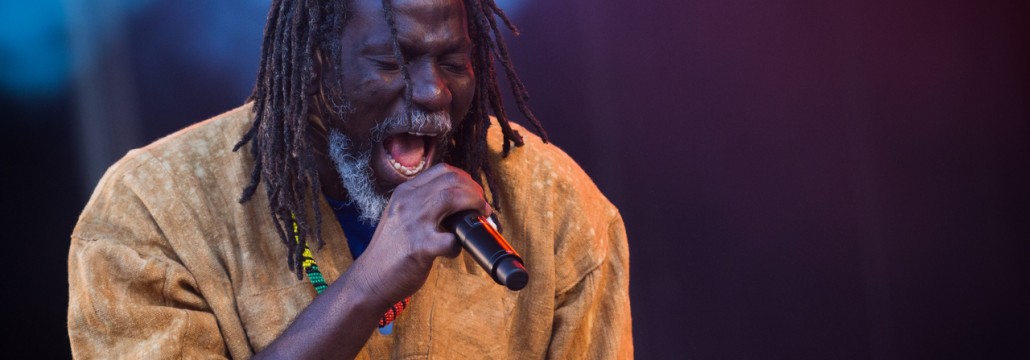 Tiken Jah Fakoly &#8211; Festival Art Rock 2014