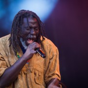 Tiken Jah Fakoly &#8211; Festival du Chien a Plumes 2008