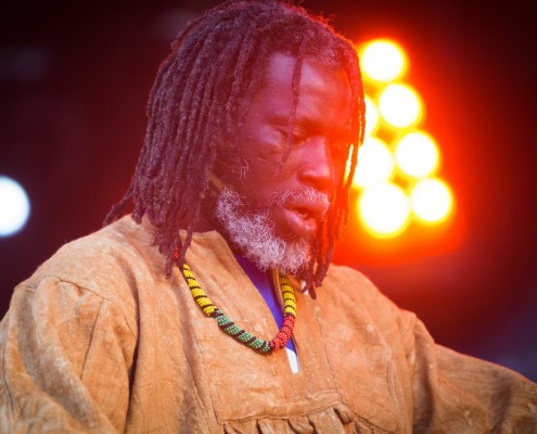 Tiken Jah Fakoly &#8211; Festival Art Rock 2014