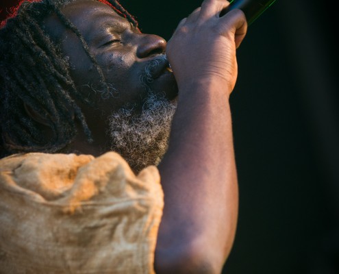 Tiken Jah Fakoly &#8211; Festival Art Rock 2014