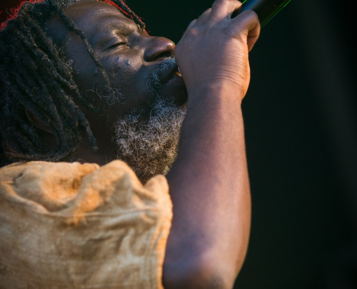 Tiken Jah Fakoly &#8211; Festival Art Rock 2014