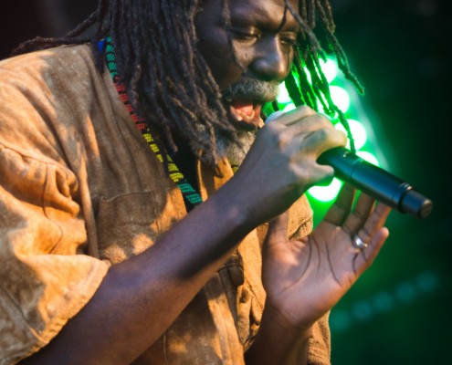 Tiken Jah Fakoly &#8211; Festival Art Rock 2014