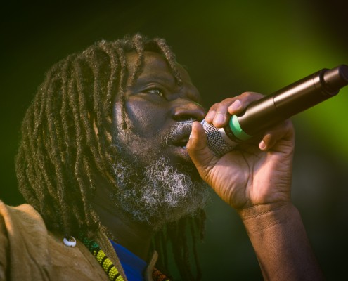 Tiken Jah Fakoly &#8211; Festival Art Rock 2014