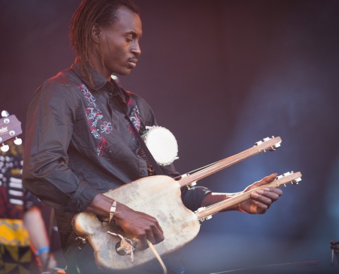 Tiken Jah Fakoly &#8211; Festival Art Rock 2014