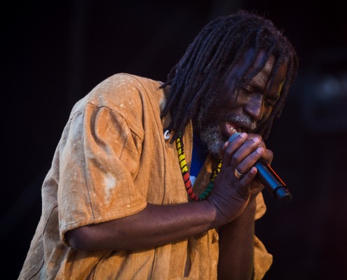 Tiken Jah Fakoly &#8211; Festival Art Rock 2014