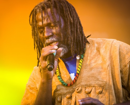 Tiken Jah Fakoly &#8211; Festival Art Rock 2014