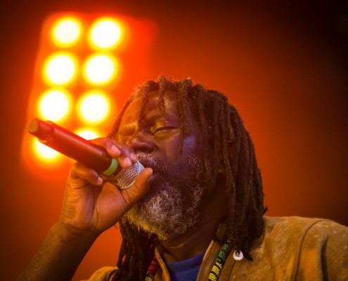 Tiken Jah Fakoly &#8211; Festival Art Rock 2014