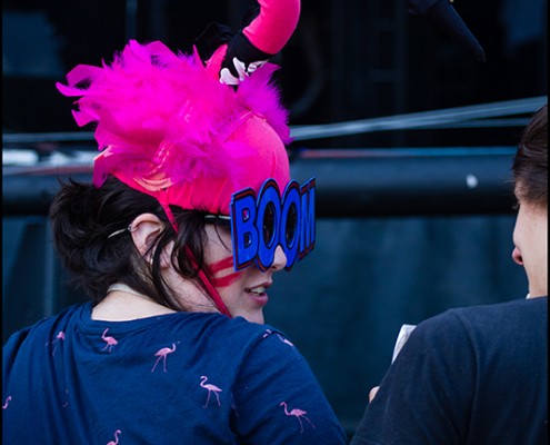 Ambiance – Festival Beauregard 2014