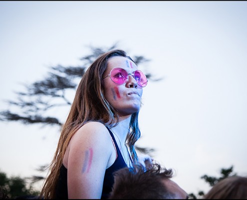 Ambiance – Festival Beauregard 2014