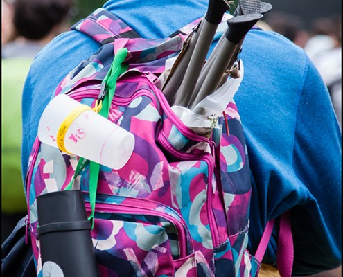 Ambiance – Festival Beauregard 2014