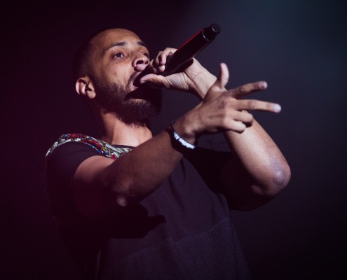 Disiz &#8211; Festival des Vieilles Charrues 2014