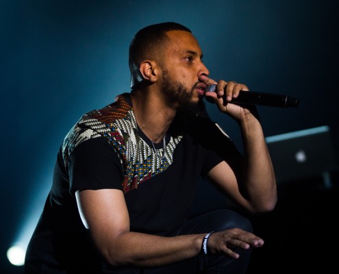 Disiz &#8211; Festival des Vieilles Charrues 2014