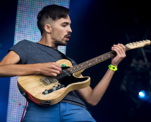 Totorro &#8211; Festival des Vieilles Charrues 2014