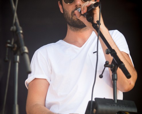 Odezenne &#8211; Festival des Vieilles Charrues 2014